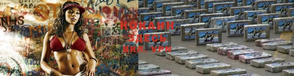 марки nbome Гусев