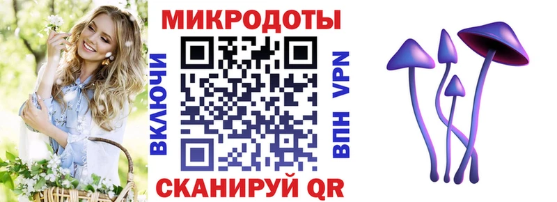 Псилоцибиновые грибы Psilocybe  MEGA как войти  Далматово 